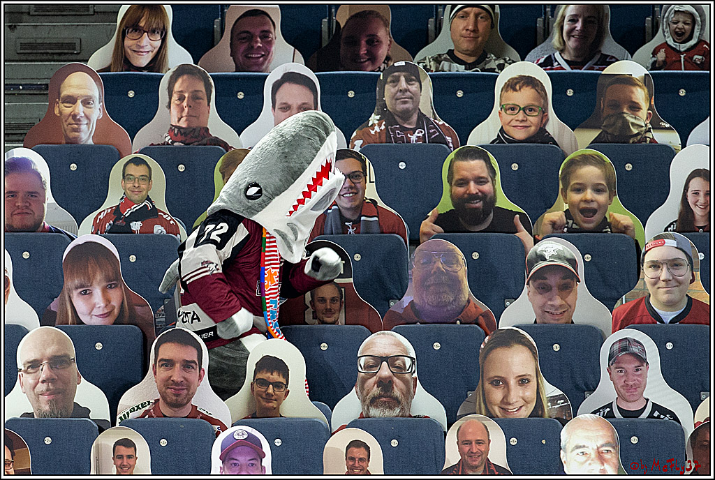 PENNY DEL;  Koelner Haie - Fischtown Pinguins Bremerhaven; Koeln, 12.02.2021